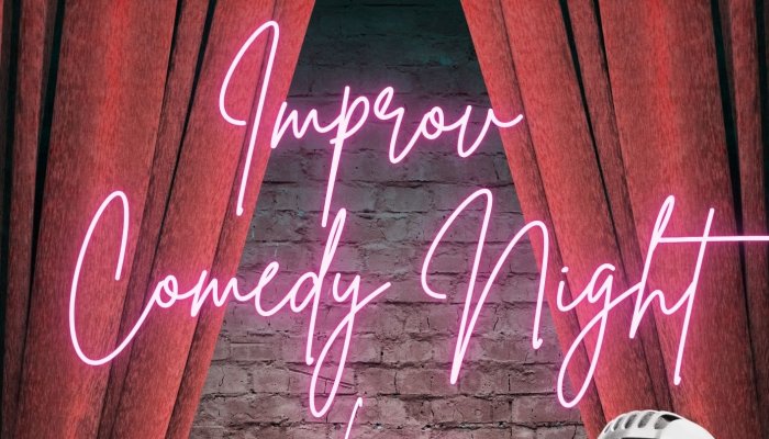 Improv night Hibernian Hotel Mallow WB