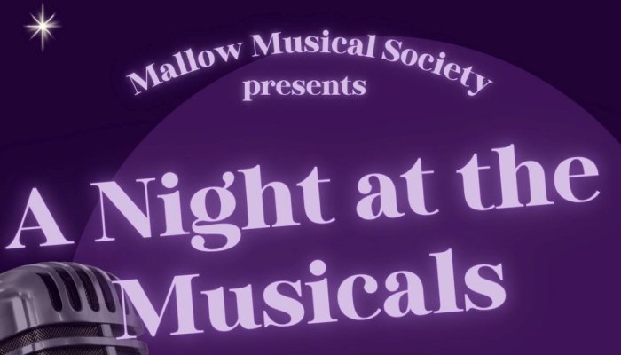 Poster Hibernian Hotel Mallow WB