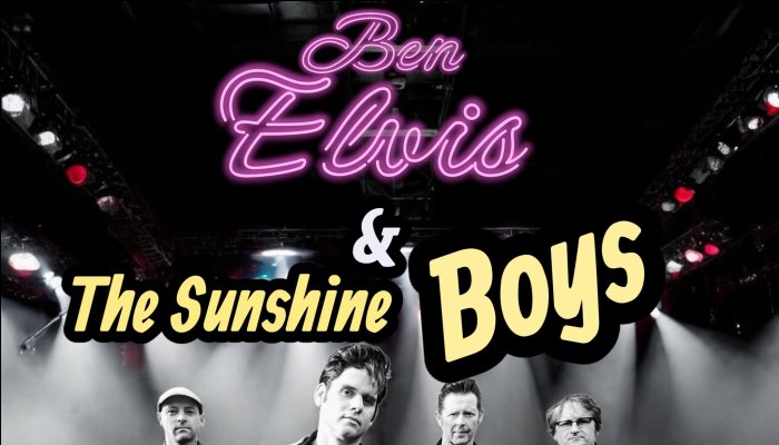 Image Hibernian Hotel Mallow WB